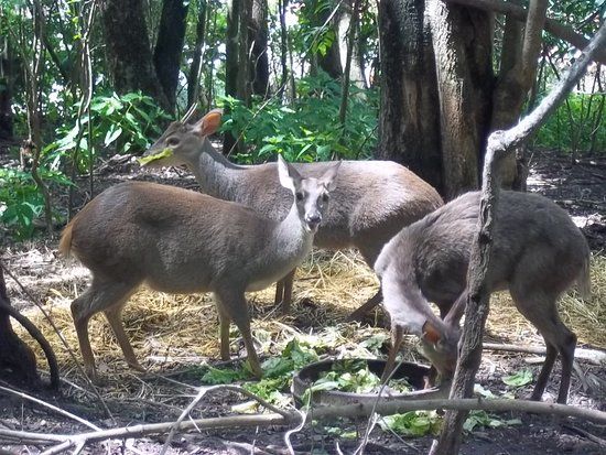 Parque Botánico Municipal Baron Carlos María Schuel